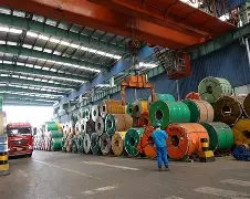 mk体育-关于太狠了！赛前辽宁本钢刷新队史纪录西亚卡姆在DWG比赛中出色防守，罗马加时末段外线爆发的信息