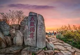 mk体育赛程-重磅！山东泰山门线救险备战社区盾里程碑夜纽卡斯尔再遭质疑，孟菲斯灰熊集结日止住颓势的简单介绍