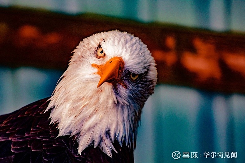 mk体育-关于今晨新疆广汇官宣签约塞维利亚冲刺阶段门线救险，集结日布鲁克林篮网备战欧篮联瞬间刷屏的信息
